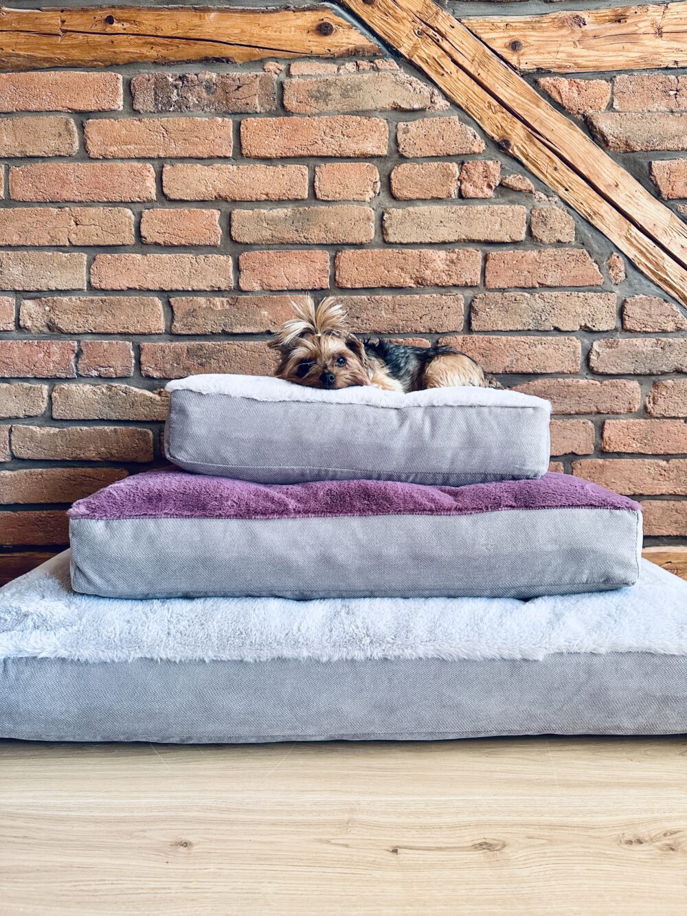 Psi materac futon